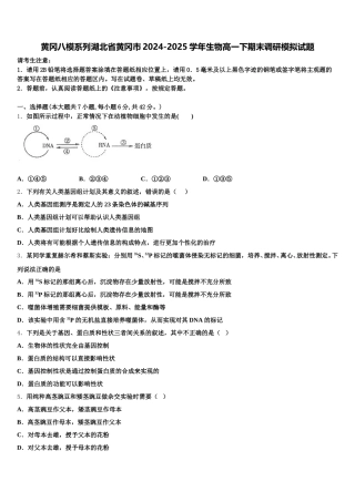 黄冈八模系列湖北省黄冈市2024-2025学年生物高一下期末调研模拟试题含解析