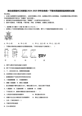 湖北省恩施州三校联盟2024-2025学年生物高一下期末质量跟踪监视模拟试题含解析