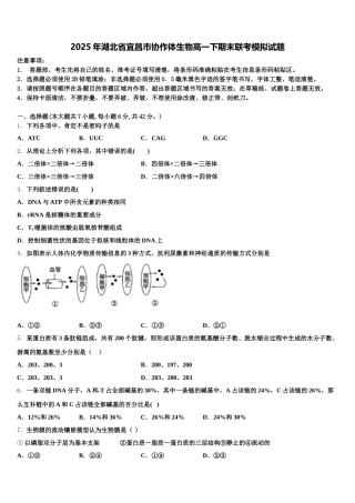 2025年湖北省宜昌市协作体生物高一下期末联考模拟试题含解析