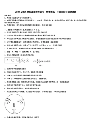 2024-2025学年湖北省大冶市一中生物高一下期末综合测试试题含解析