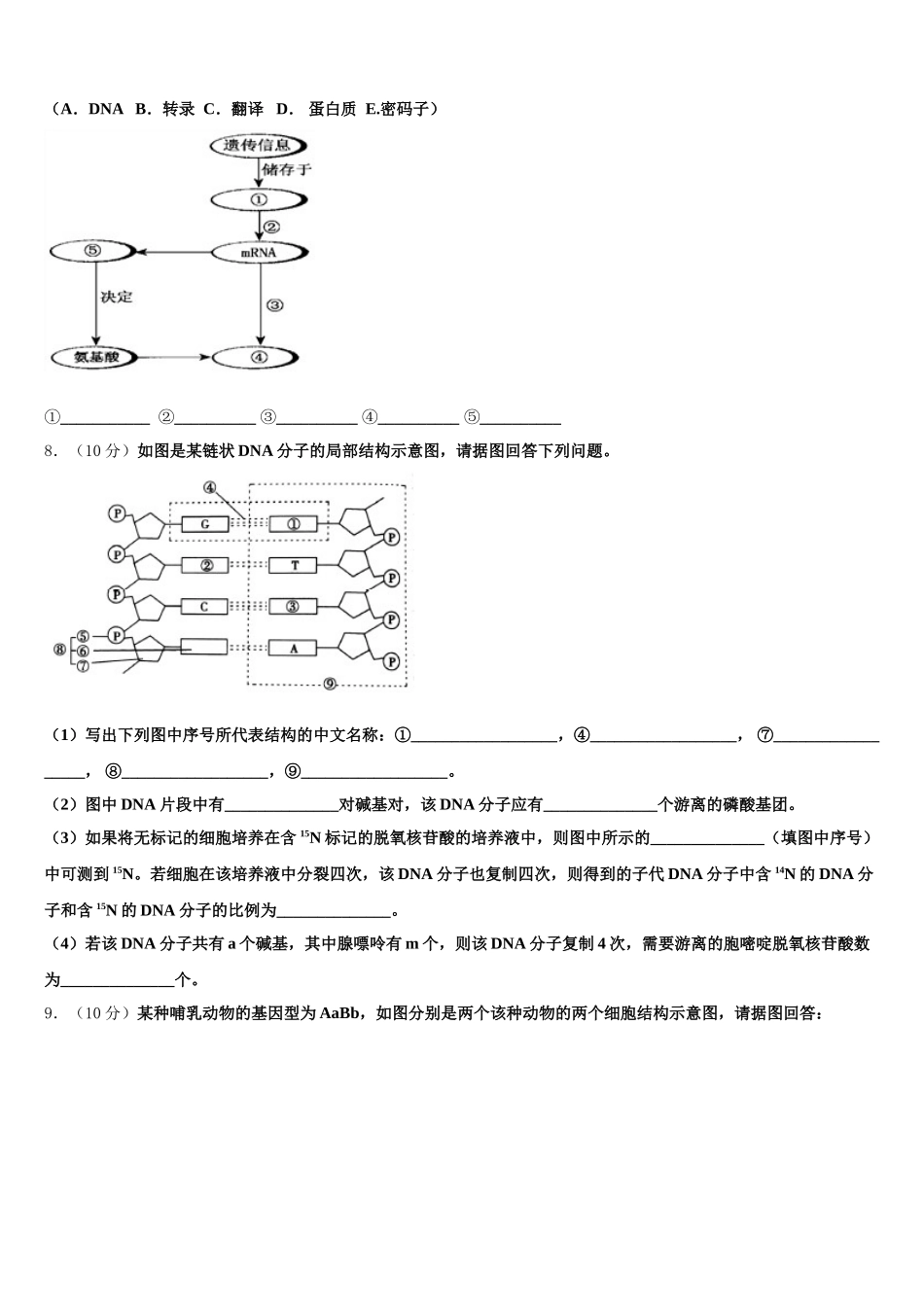 2025年湖北宜昌市第一中学高一生物第二学期期末经典模拟试题含解析_第2页
