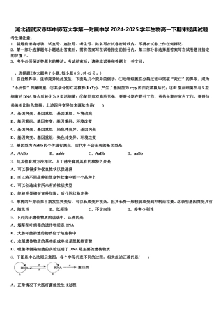 湖北省武汉市华中师范大学第一附属中学2024-2025学年生物高一下期末经典试题含解析