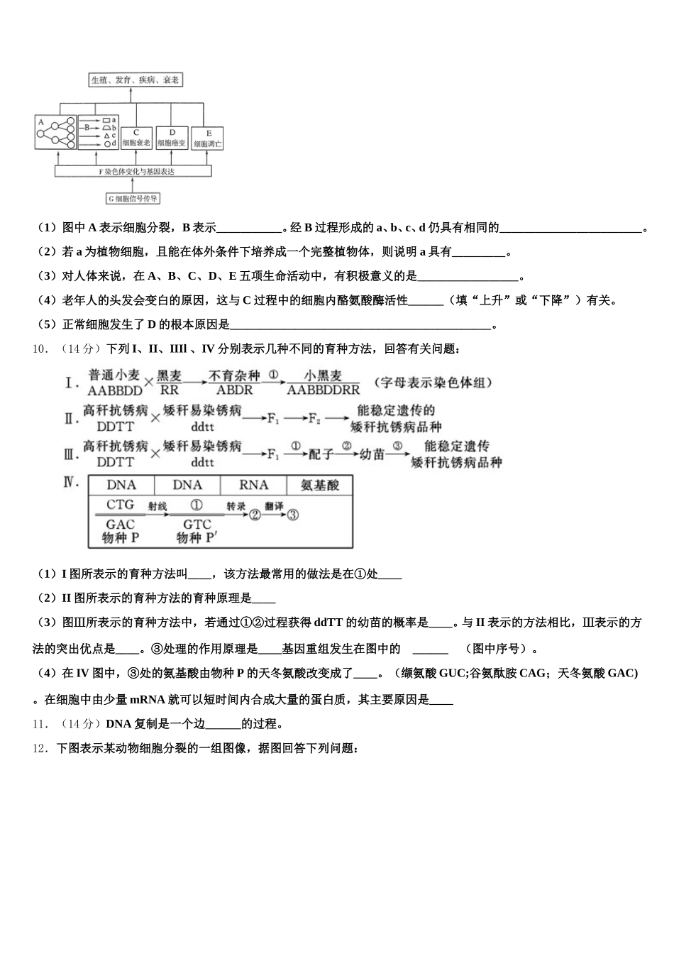2025年湖北省鄂州市第二中学高一生物第二学期期末达标测试试题含解析_第3页