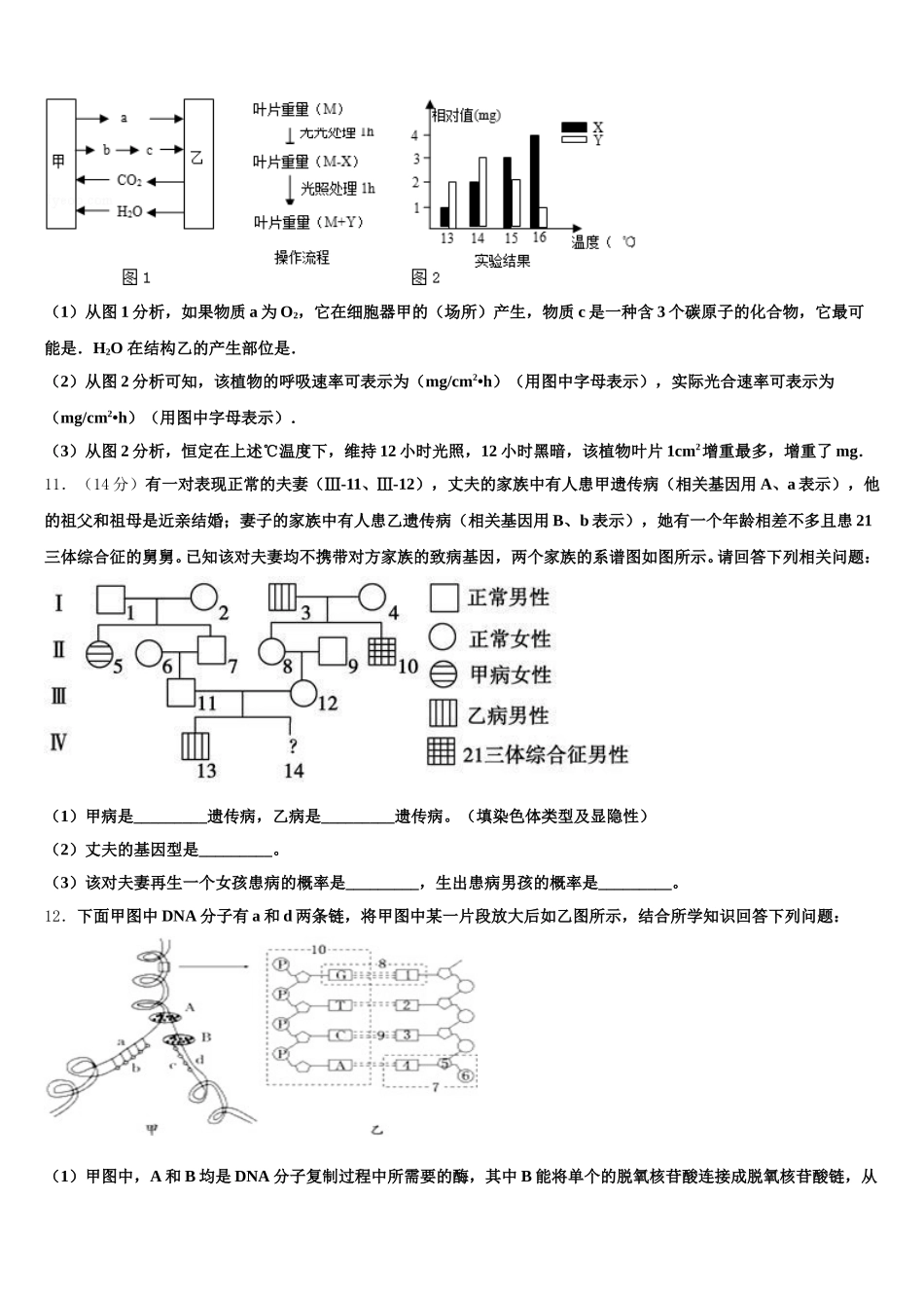 2025届湖北省黄冈、襄阳市高一生物第二学期期末达标检测模拟试题含解析_第3页
