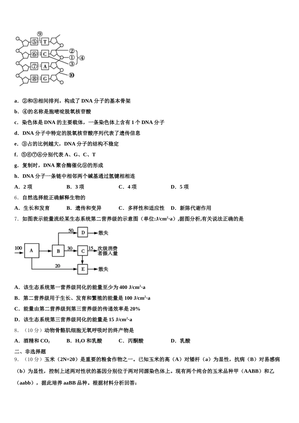 2025届湖北省巴东三中高一生物第二学期期末学业质量监测试题含解析_第2页