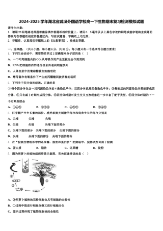 2024-2025学年湖北省武汉外国语学校高一下生物期末复习检测模拟试题含解析