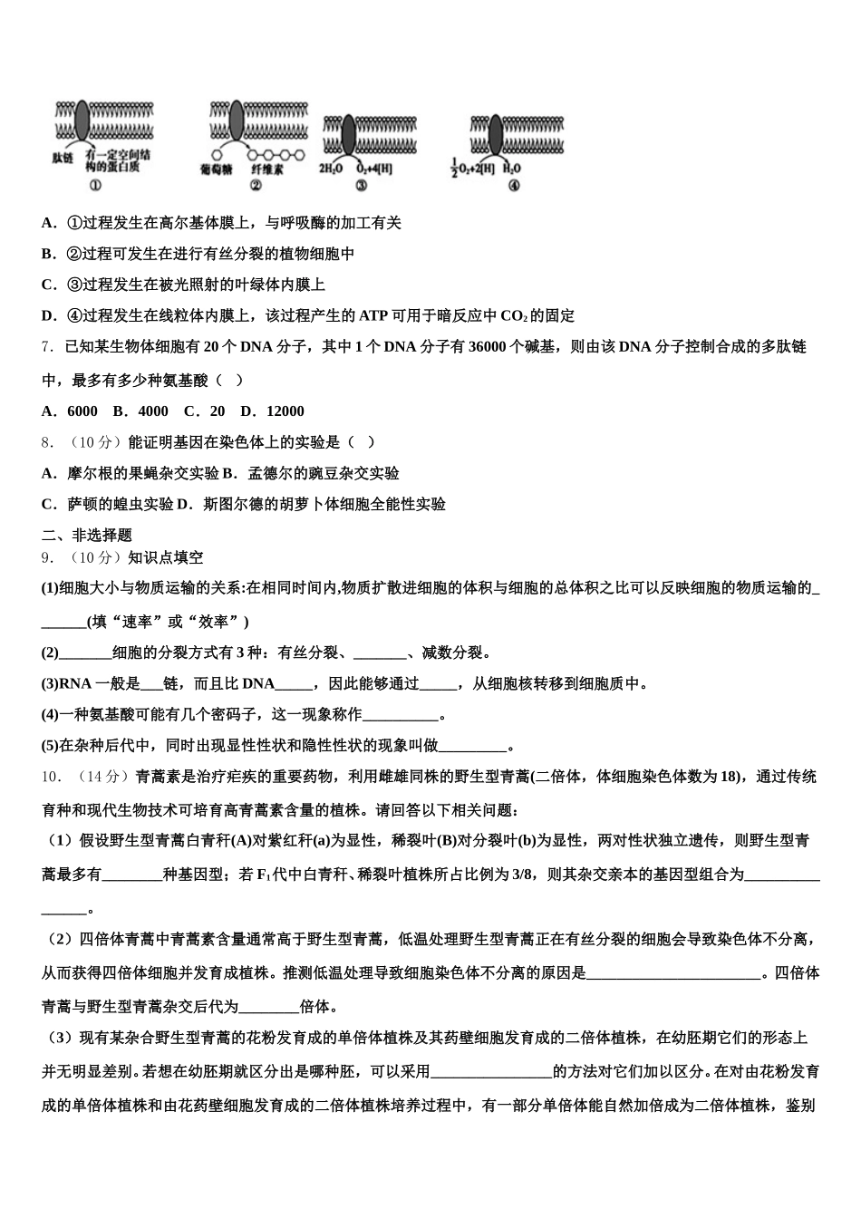 2025届湖北省华师大附中高一下生物期末经典试题含解析_第2页