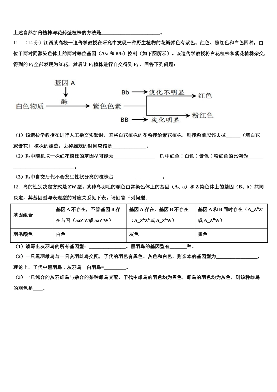 2025届湖北省华师大附中高一下生物期末经典试题含解析_第3页