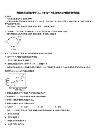 湖北省襄阳第四中学2025年高一下生物期末复习检测模拟试题含解析
