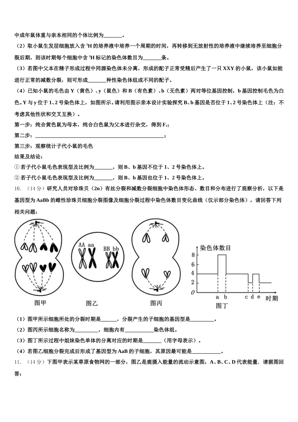 2024-2025学年湖北省黄冈市黄州中学生物高一第二学期期末教学质量检测试题含解析_第3页