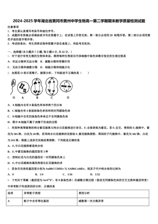 2024-2025学年湖北省黄冈市黄州中学生物高一第二学期期末教学质量检测试题含解析