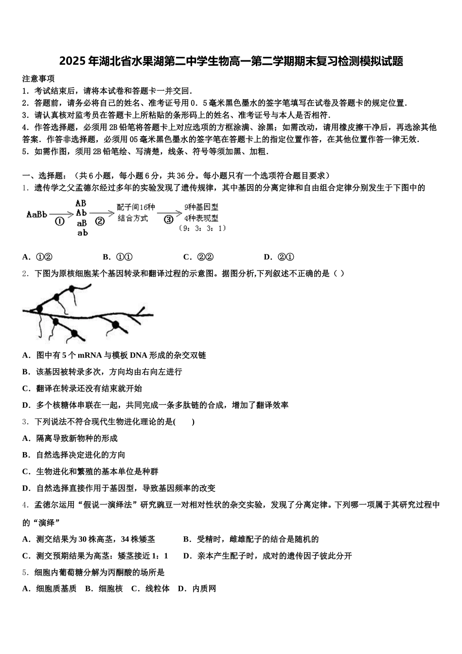 2025年湖北省水果湖第二中学生物高一第二学期期末复习检测模拟试题含解析_第1页