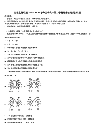 湖北名师联盟2024-2025学年生物高一第二学期期末检测模拟试题含解析