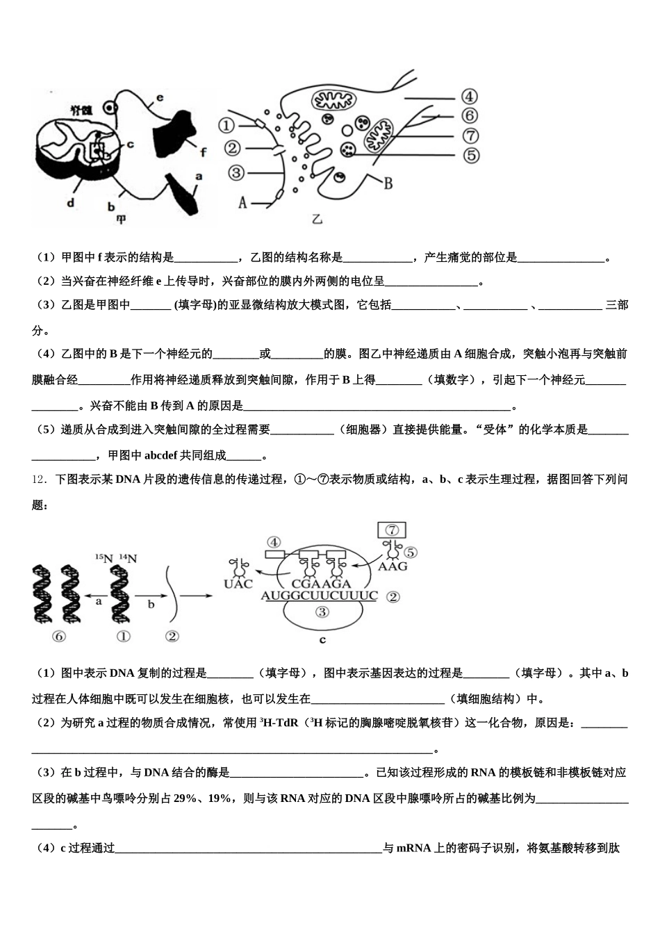 湖北省武汉第二中学2025年高一下生物期末检测模拟试题含解析_第3页