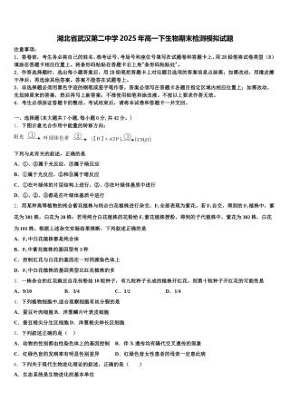 湖北省武汉第二中学2025年高一下生物期末检测模拟试题含解析