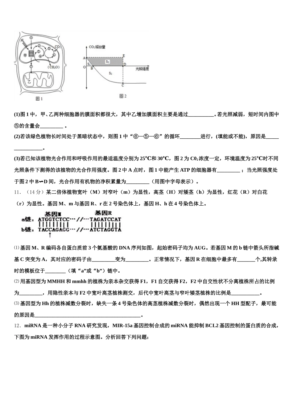 湖北省孝感市重点高中协作体2024-2025学年高一生物第二学期期末考试模拟试题含解析_第3页