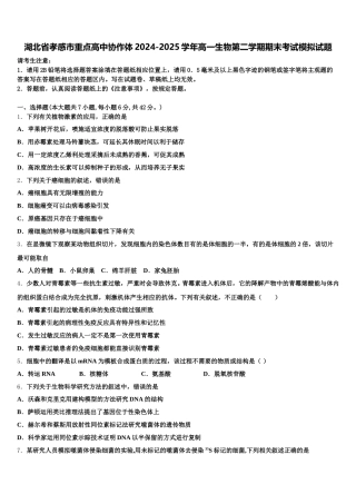 湖北省孝感市重点高中协作体2024-2025学年高一生物第二学期期末考试模拟试题含解析