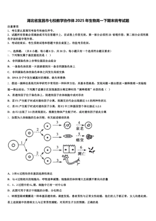 湖北省宜昌市七校教学协作体2025年生物高一下期末统考试题含解析