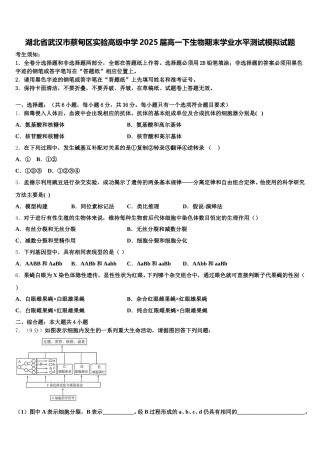 湖北省武汉市蔡甸区实验高级中学2025届高一下生物期末学业水平测试模拟试题含解析