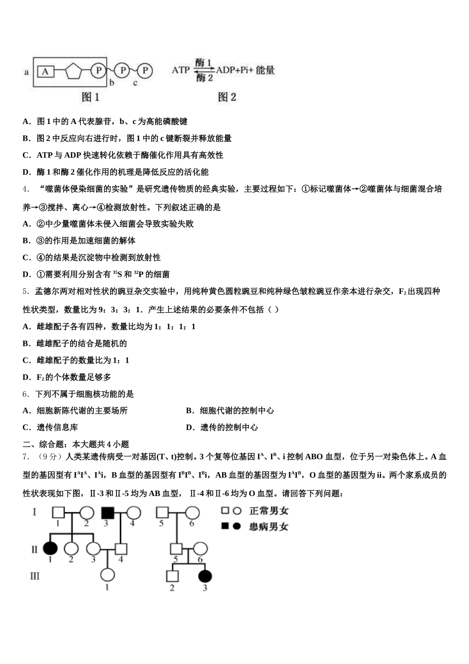 湖北省十堰市东风高级中学2024-2025学年生物高一下期末调研模拟试题含解析_第2页
