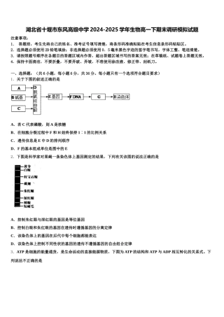 湖北省十堰市东风高级中学2024-2025学年生物高一下期末调研模拟试题含解析
