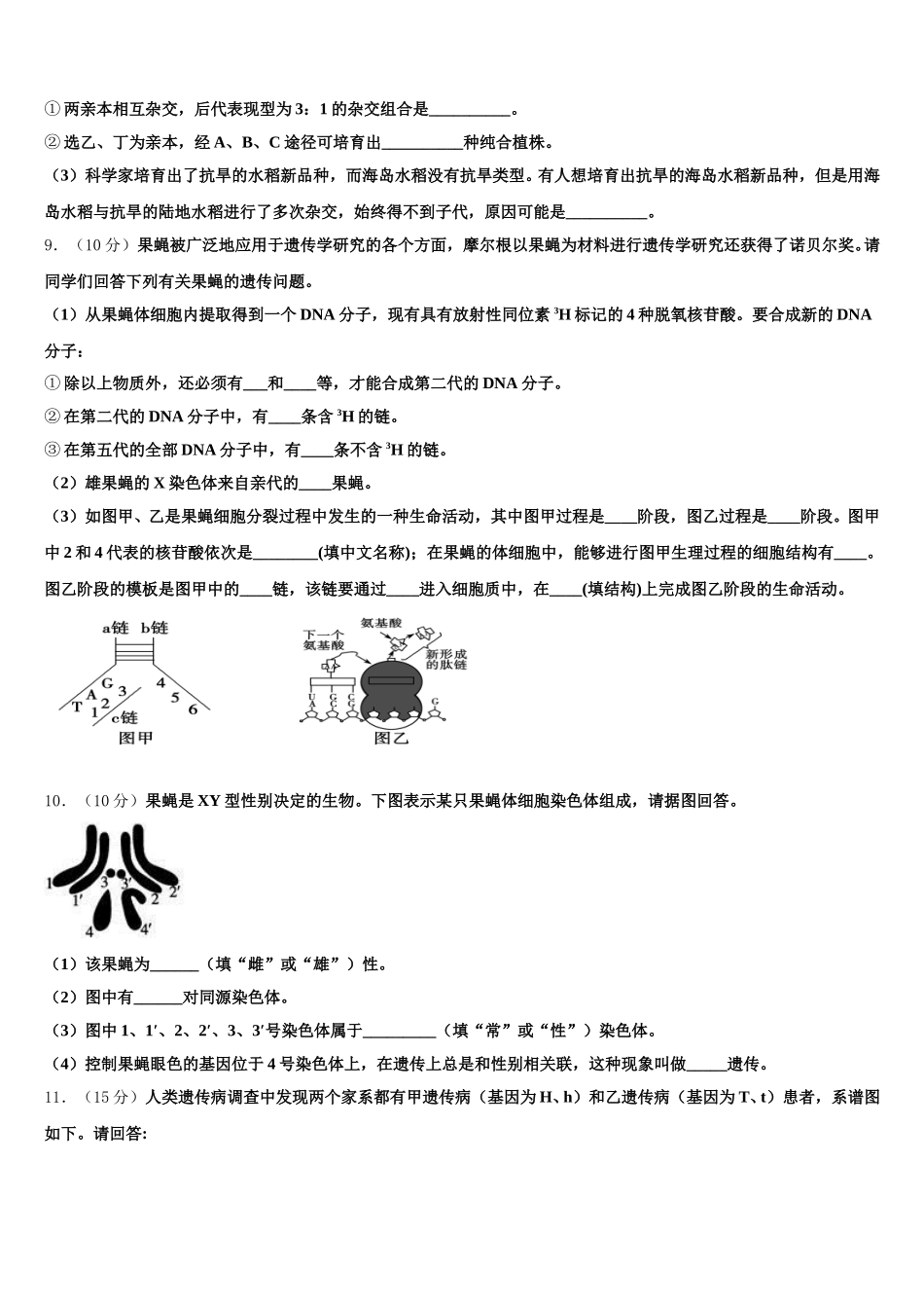 襄阳市第四中学2024-2025学年高一下生物期末经典模拟试题含解析_第3页
