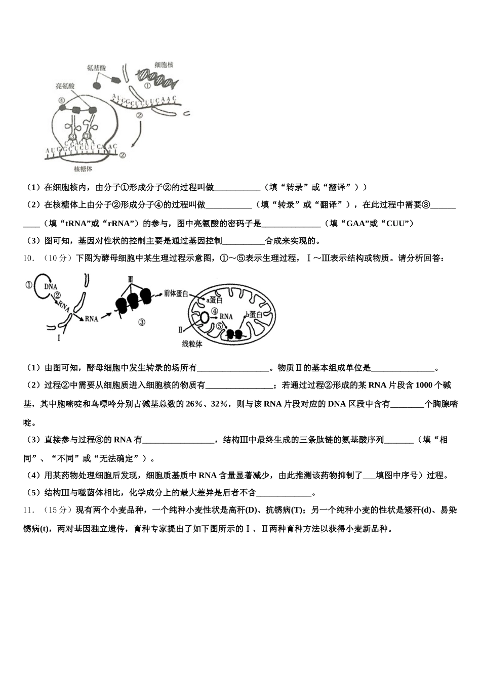 湖北省孝感高中2025届高一下生物期末调研模拟试题含解析_第3页