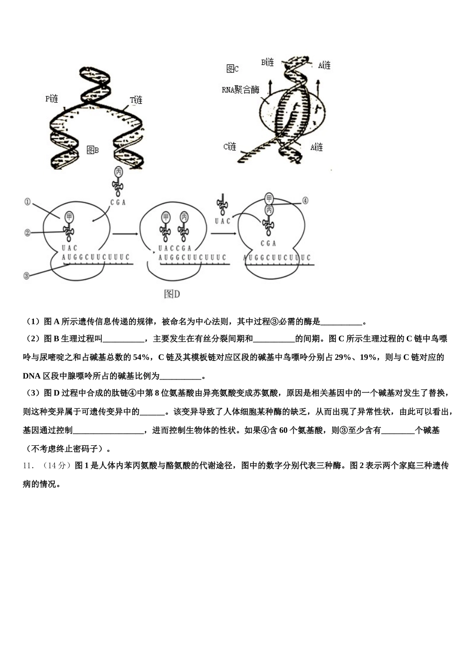 2025届湖北省襄樊市高一下生物期末检测试题含解析_第3页