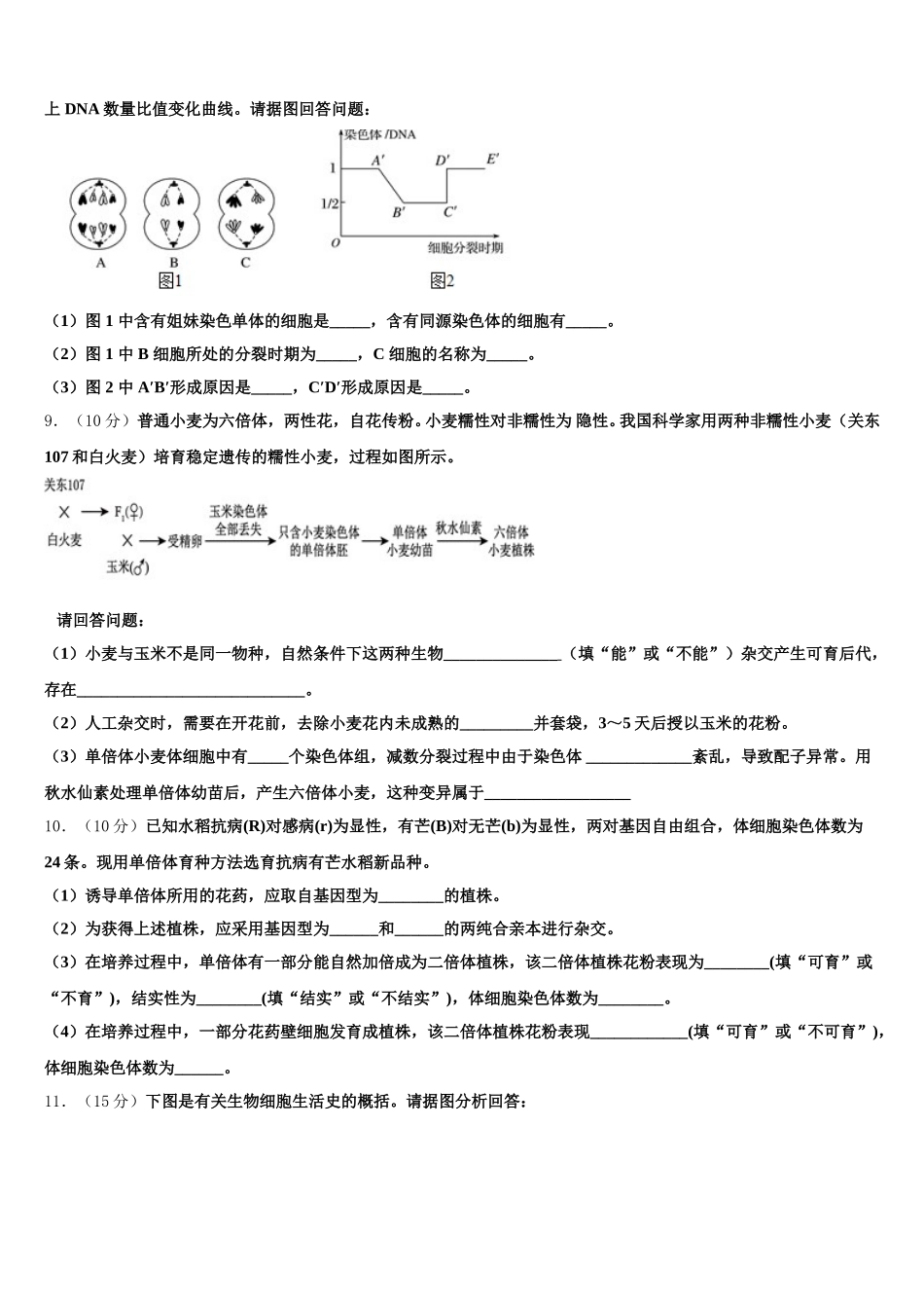 2024-2025学年湖北武汉市第十一中学生物高一下期末联考试题含解析_第3页