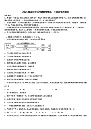 2025届湖北省名校联盟生物高一下期末考试试题含解析