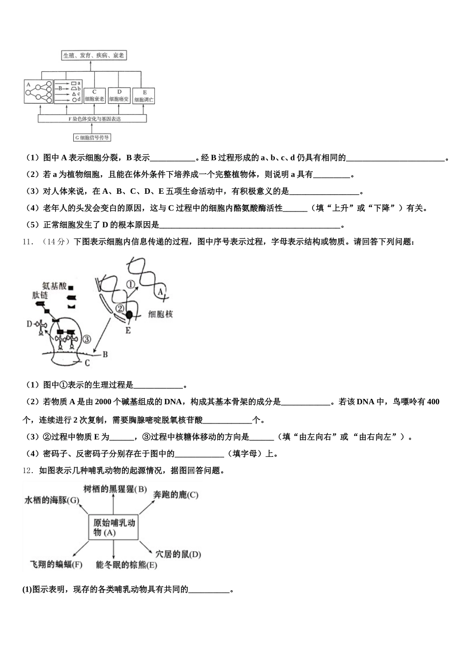 2025年湖北宜昌市第一中学生物高一第二学期期末综合测试模拟试题含解析_第3页
