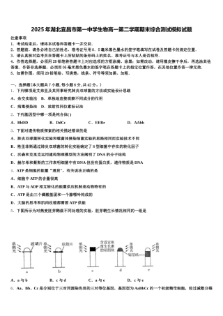 2025年湖北宜昌市第一中学生物高一第二学期期末综合测试模拟试题含解析