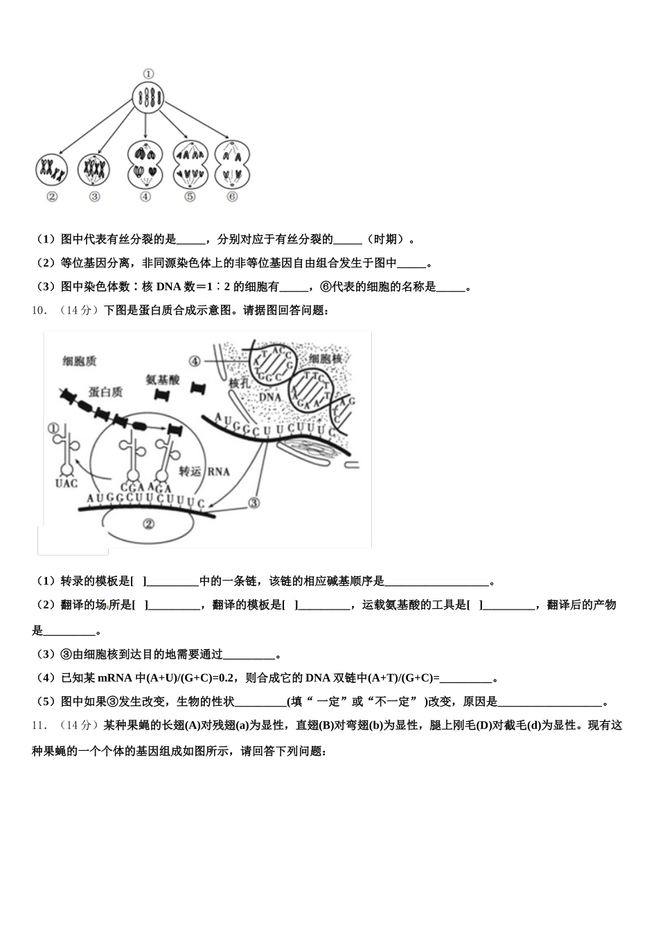 2025年湖北省黄石二中等三校高一生物第二学期期末统考试题含解析_第3页