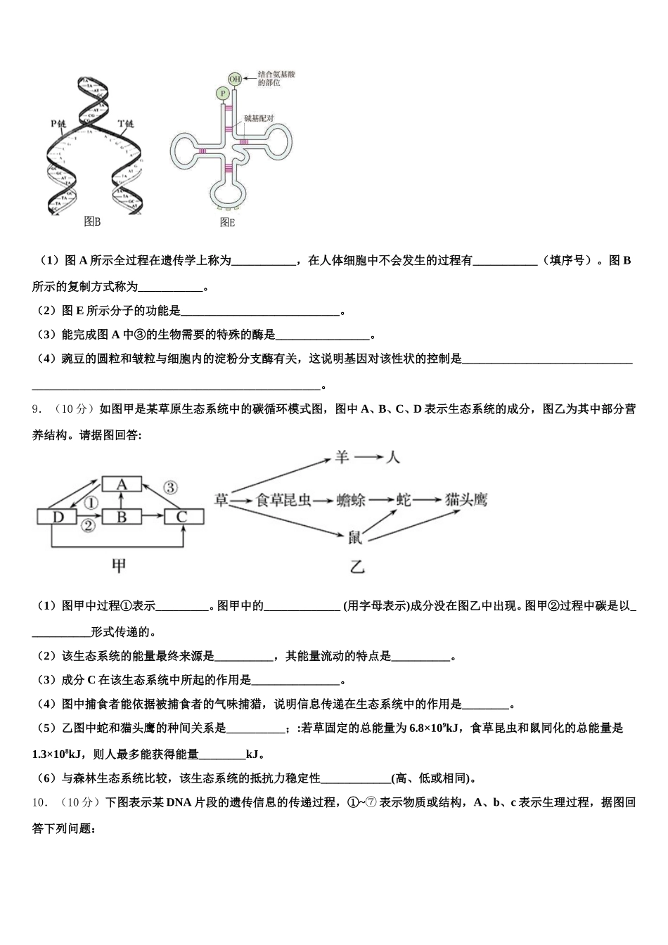 2025届湖北省沙市中学、郧阳中学、恩施高中、随州二中高一生物第二学期期末复习检测试题含解析_第3页