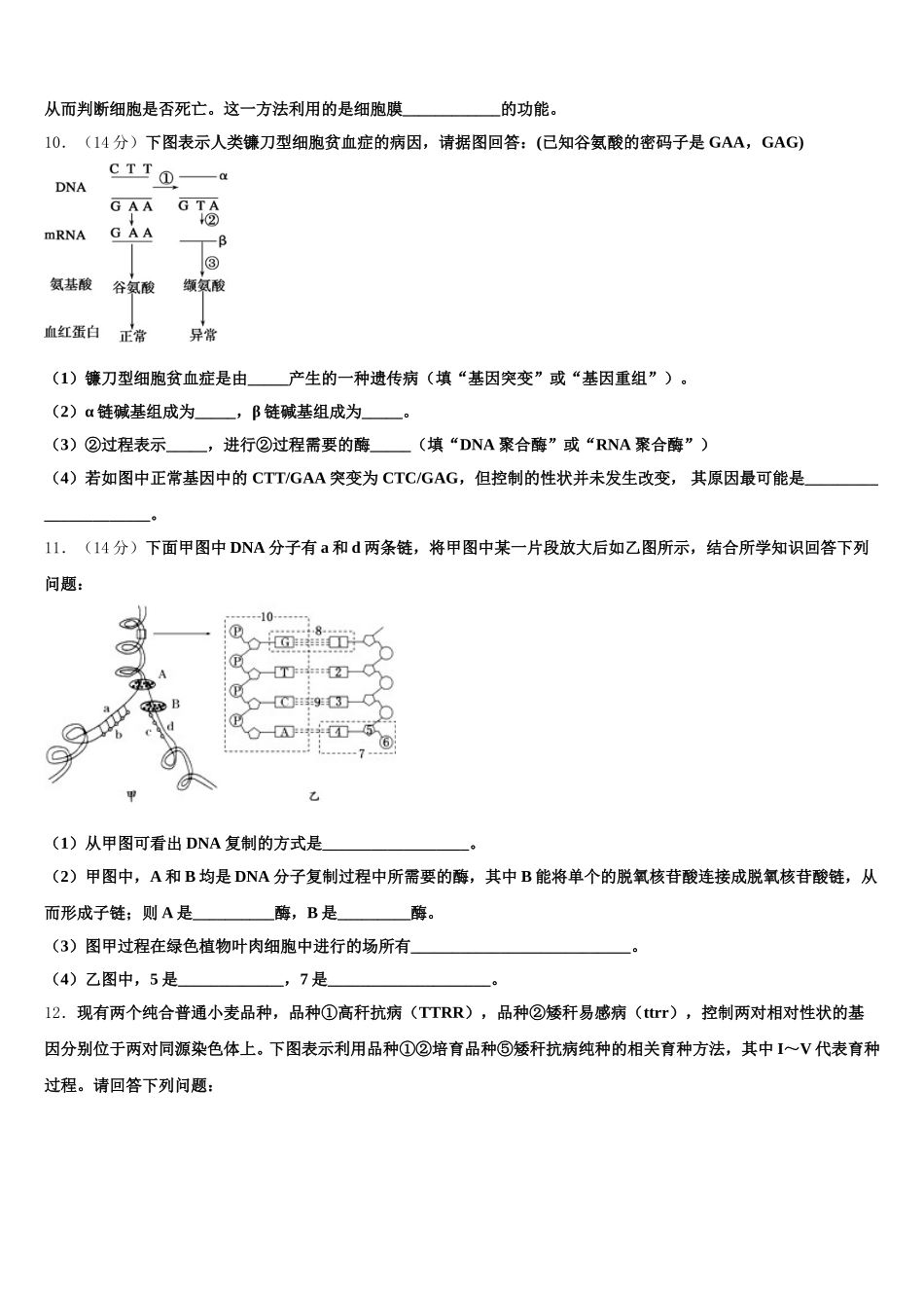 湖北省襄阳市第五中学2024-2025学年高一生物第二学期期末综合测试试题含解析_第3页