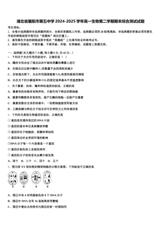 湖北省襄阳市第五中学2024-2025学年高一生物第二学期期末综合测试试题含解析