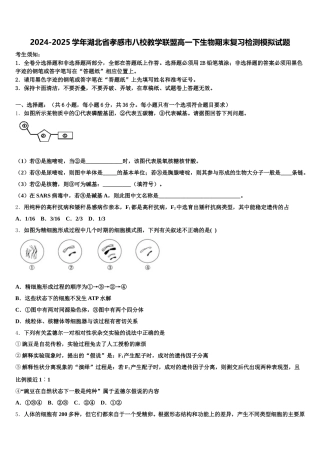 2024-2025学年湖北省孝感市八校教学联盟高一下生物期末复习检测模拟试题含解析