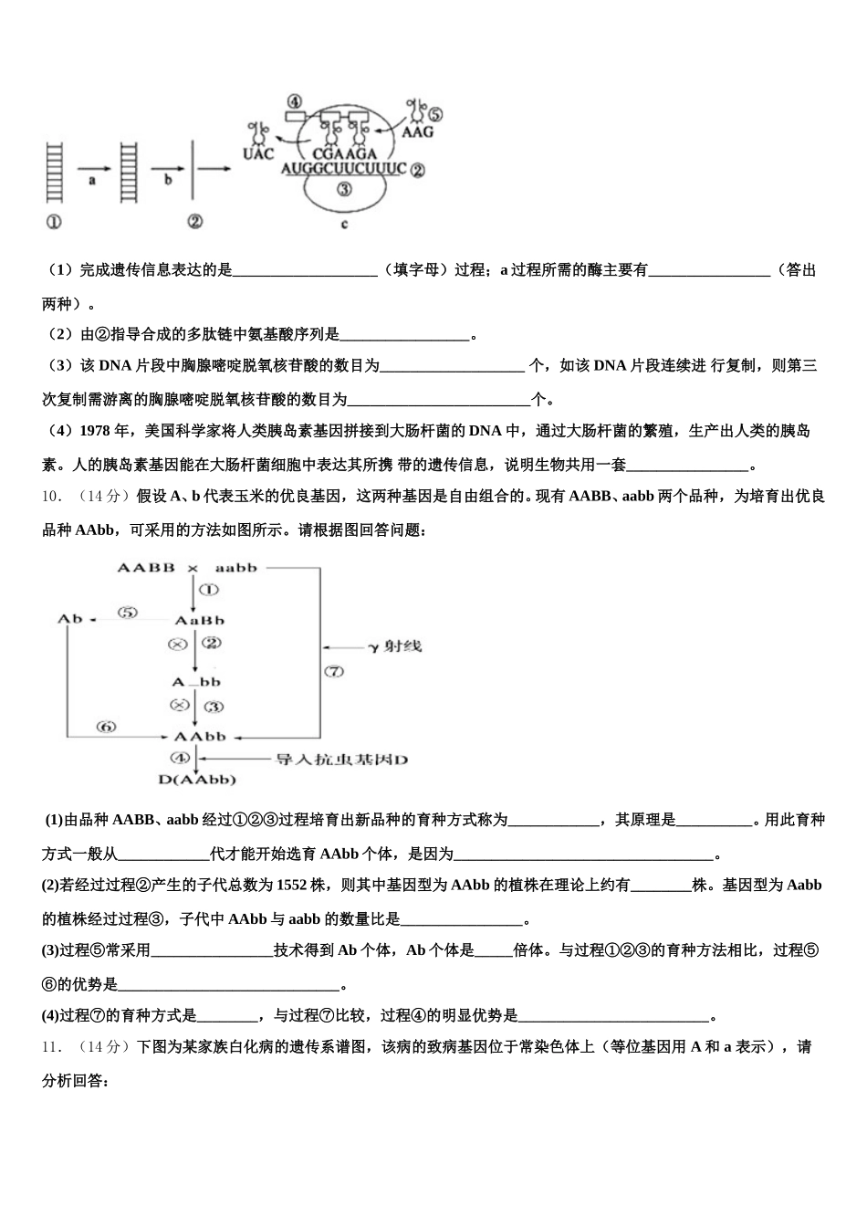 湖北省孝感高中2025届高一生物第二学期期末调研模拟试题含解析_第3页