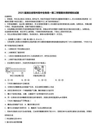 2025届湖北省鄂州高中生物高一第二学期期末调研模拟试题含解析