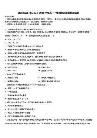 湖北省天门市2024-2025学年高一下生物期末质量检测试题含解析
