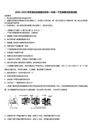 2024-2025学年湖北省恩施州巴东一中高一下生物期末检测试题含解析