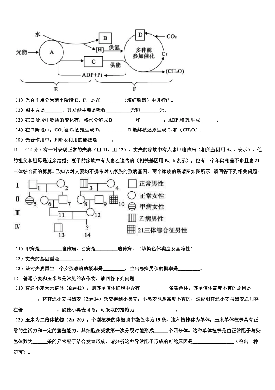 2025年湖北省鄂东南省级示范高中教育教学改革联盟学校生物高一下期末质量检测模拟试题含解析_第3页