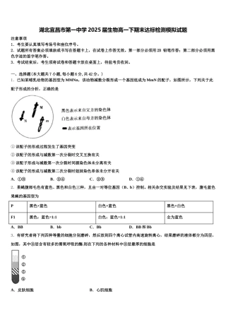 湖北宜昌市第一中学2025届生物高一下期末达标检测模拟试题含解析