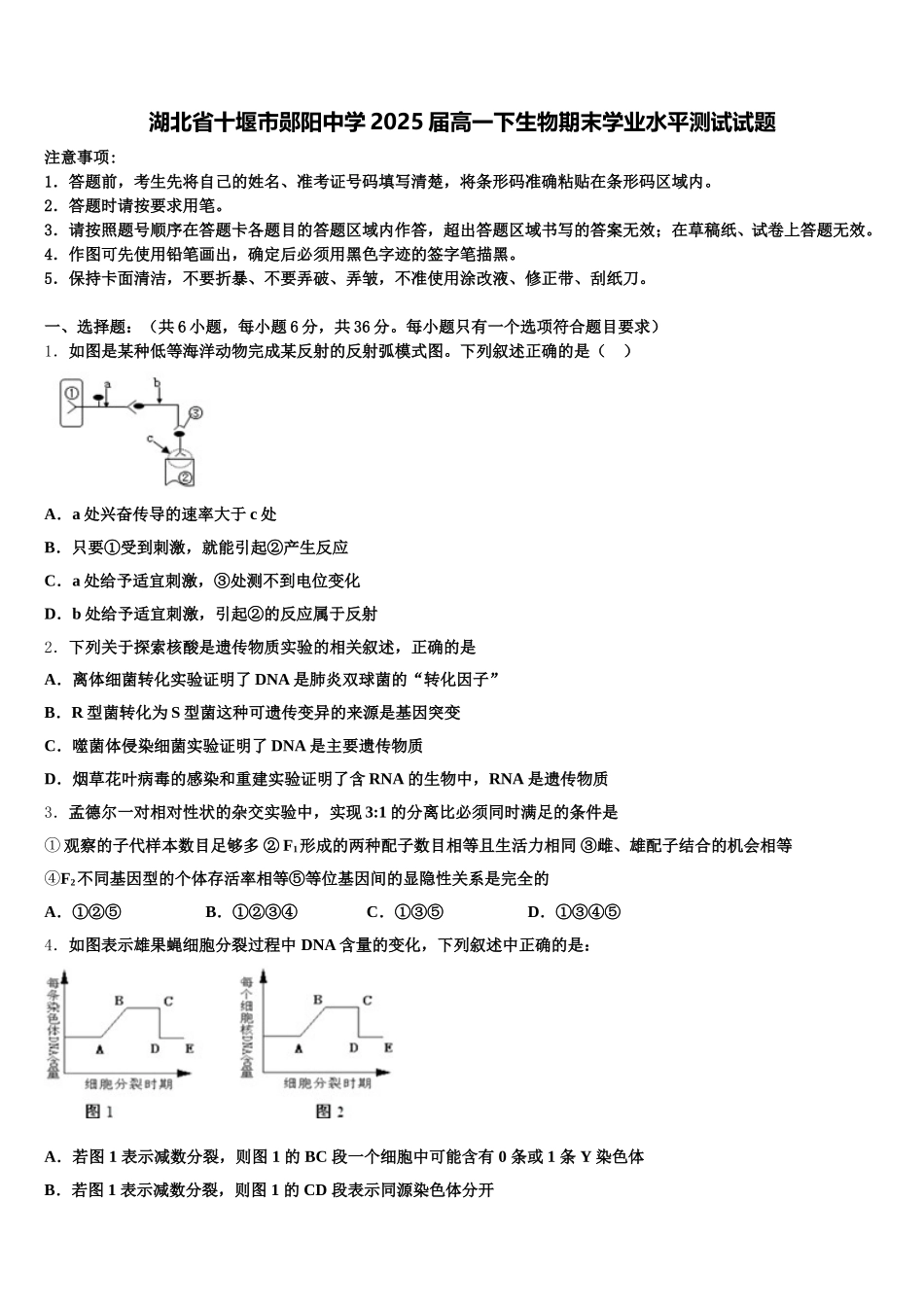 湖北省十堰市郧阳中学2025届高一下生物期末学业水平测试试题含解析_第1页