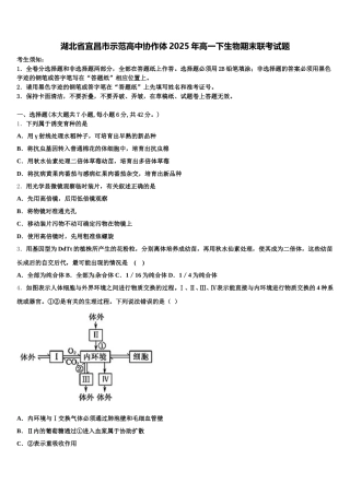湖北省宜昌市示范高中协作体2025年高一下生物期末联考试题含解析