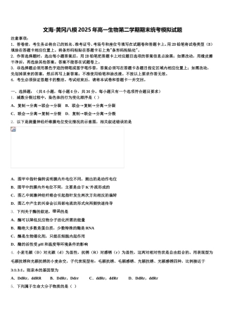 文海-黄冈八模2025年高一生物第二学期期末统考模拟试题含解析
