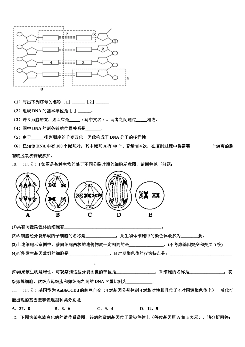 湖北省恩施州巴东三中2025届生物高一下期末经典模拟试题含解析_第3页