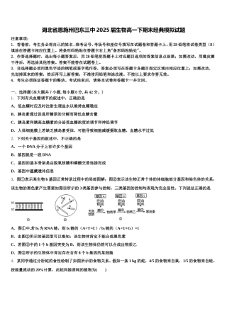 湖北省恩施州巴东三中2025届生物高一下期末经典模拟试题含解析