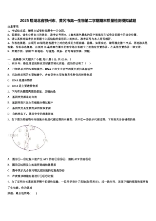2025届湖北省鄂州市、黄冈市高一生物第二学期期末质量检测模拟试题含解析