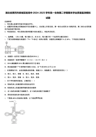湖北省黄冈市麻城实验高中2024-2025学年高一生物第二学期期末学业质量监测模拟试题含解析